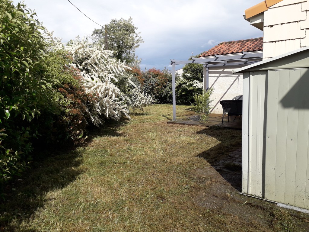 Avant Taille de haie